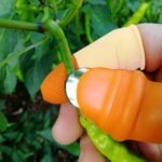2766 Vegetable Thumb Cutter and tool 5pc Set with effective sharp cutting blade System